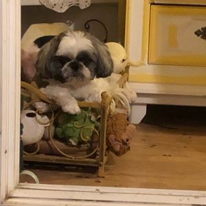 Meet your Posher, Francisco